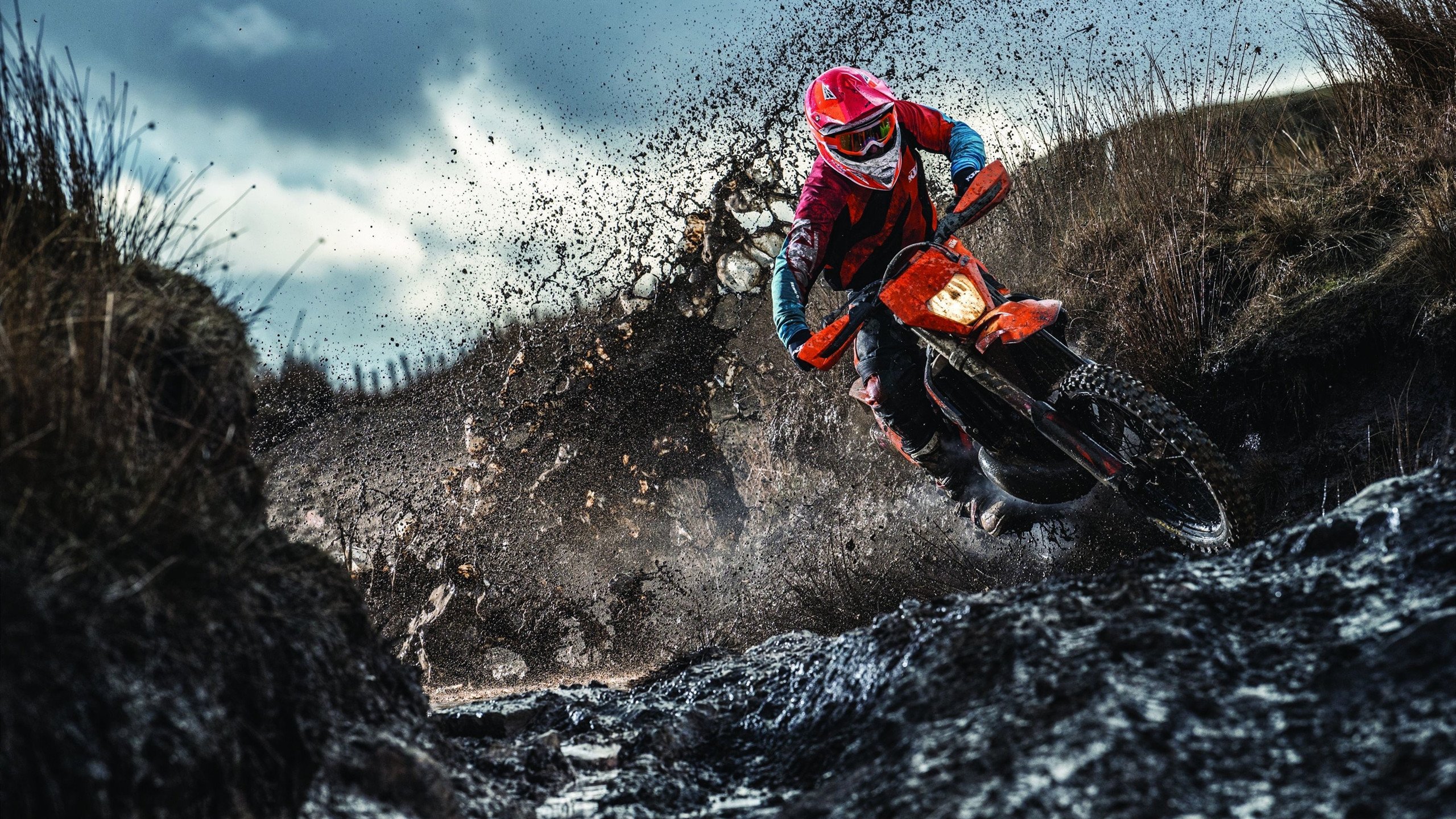 小牛调整战术，比赛表现令人惊叹，小牛参数调整